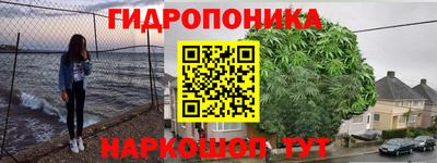 меф Вышний Волочёк