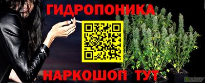 меф Вышний Волочёк