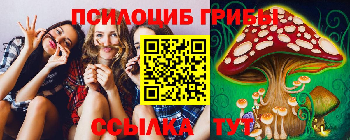 Псилоцибиновые грибы Cubensis Выкса