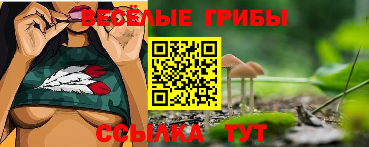 Выкса  Псилоцибиновые грибы мухоморы  Вход с VPN 